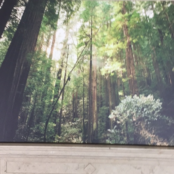 Meet your Posher, Grace - Picture 1 of 1